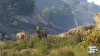 gtav_details09122014_008