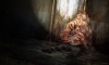 The Last of Us