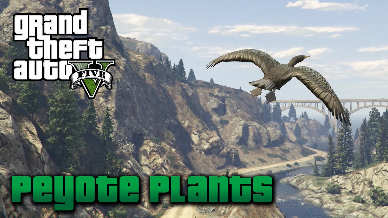 GTA 5 (Grand Theft Auto V): Guia completo : Mosaicos de Macaco