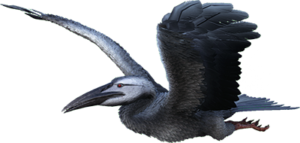 ark ichthyornis