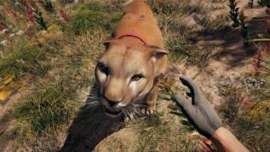 Far Cry 5 Peaches